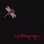 dragonfly_7inch_cover